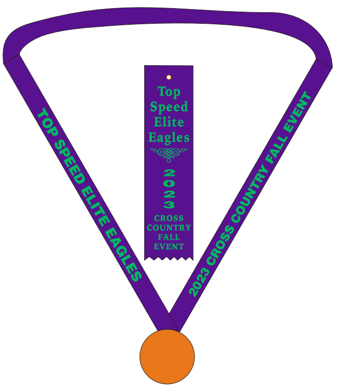 Track & Field, Cross Country Results, Statistics