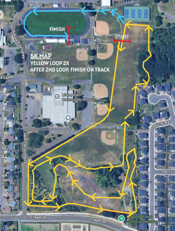 Track & Field, Cross Country Results, Statistics