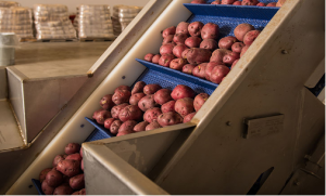 Freezing technology at FoodBank NEGA