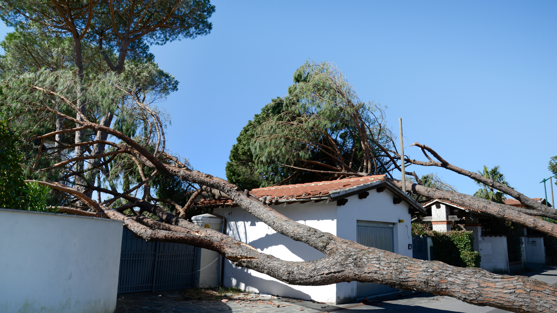 Answering calls after storms and hurricanes – 3 tips for restoration pros