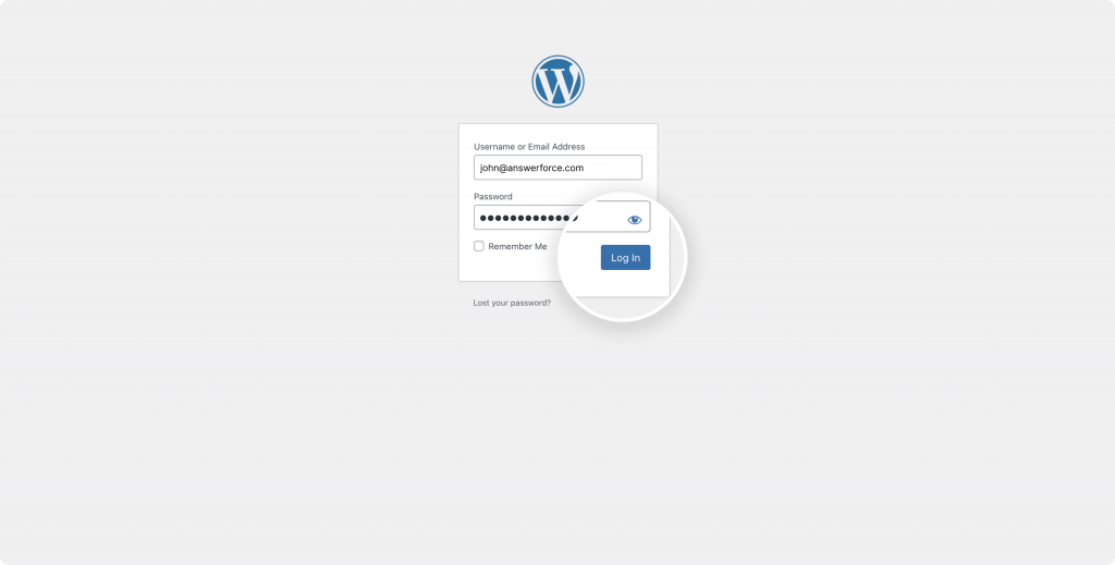 WordPress login details 