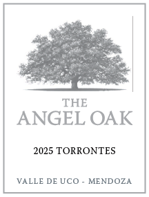 2025 The Angel Oak Torrontes label