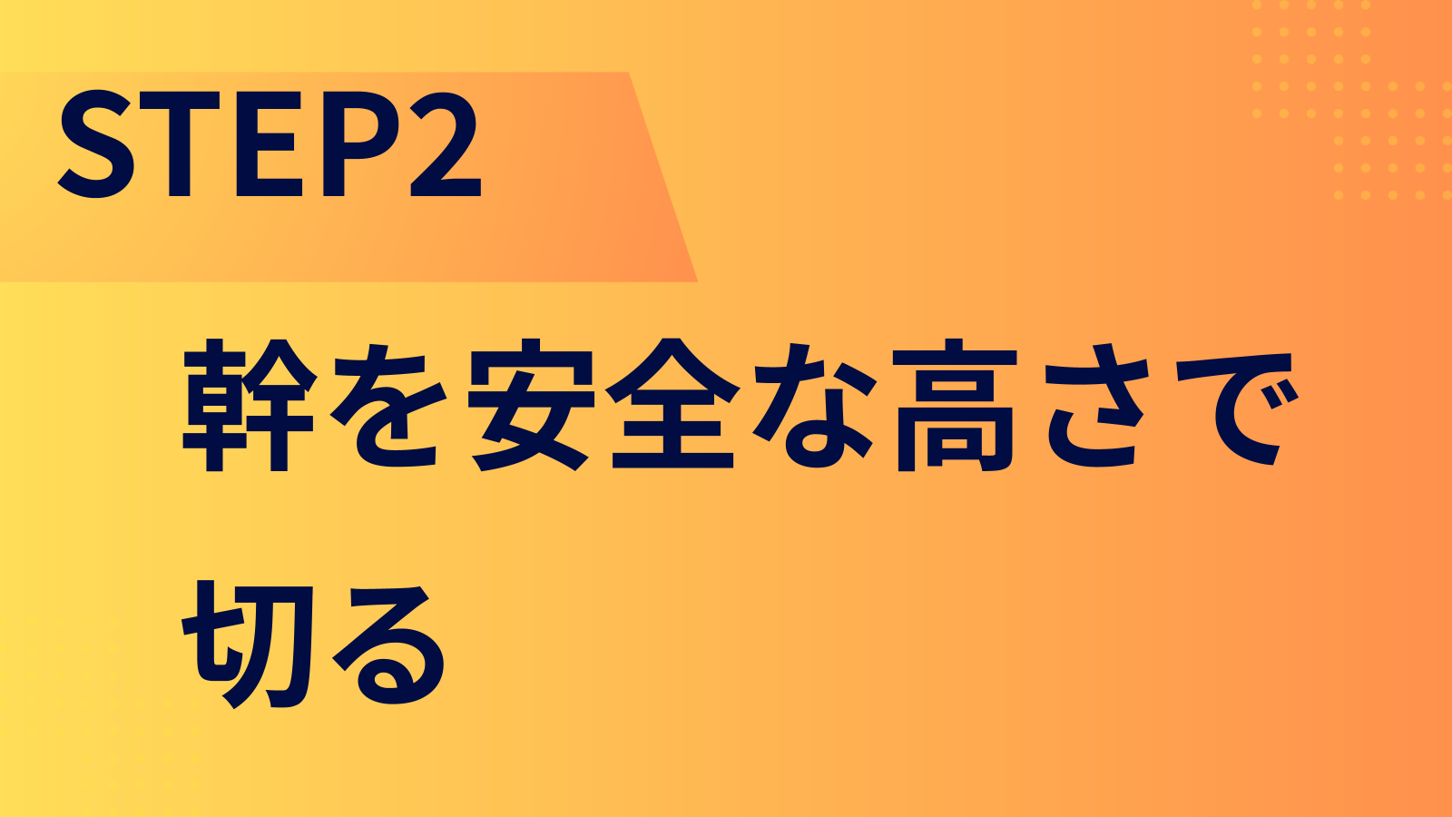 STEP2：幹を安全な高さで切る