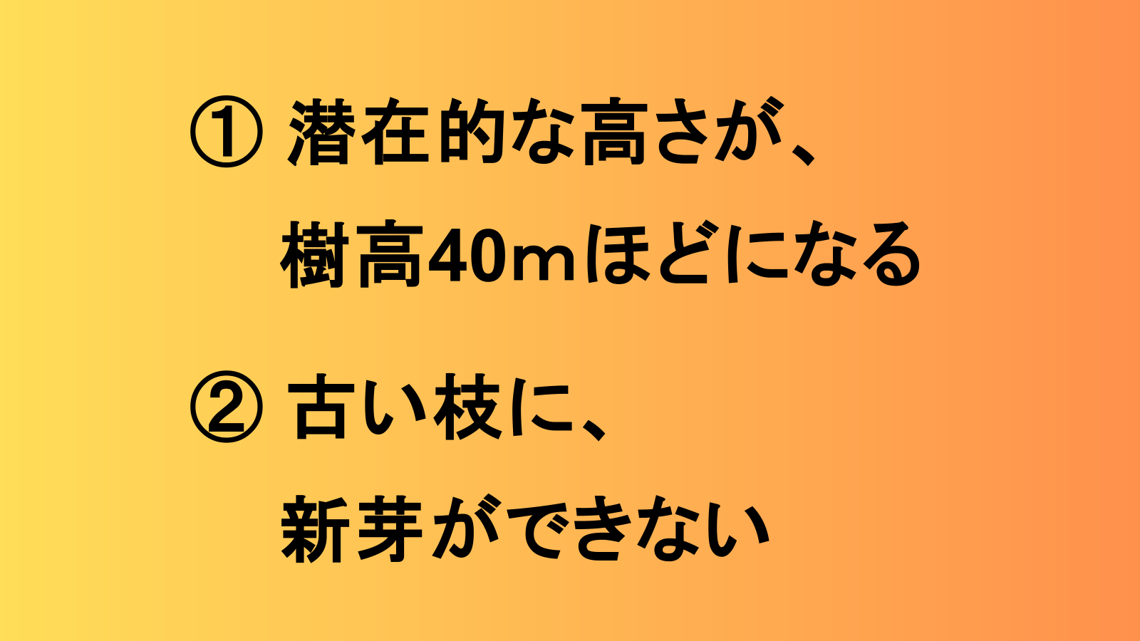 ① 潜在的な高さが、樹高40mほどになる　② 古い枝に、新芽ができない