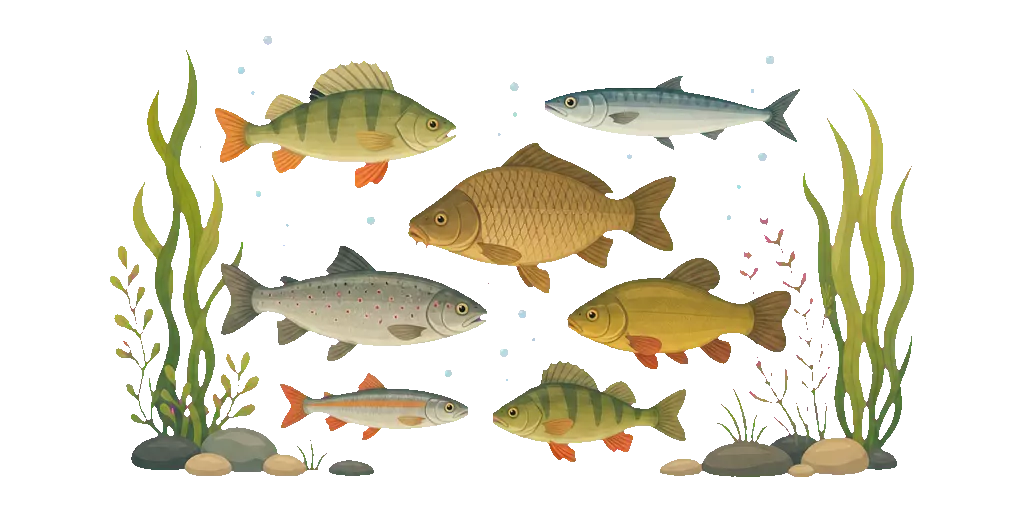Abbildung zu Fischbestand
