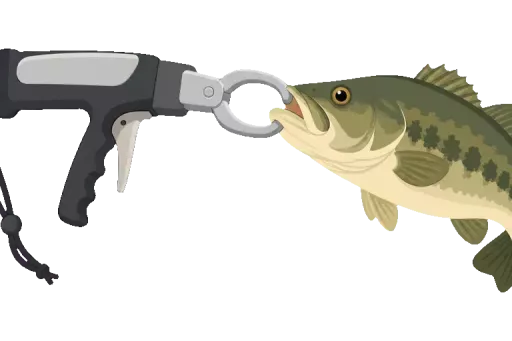 Abbildung zu Fischgreifer