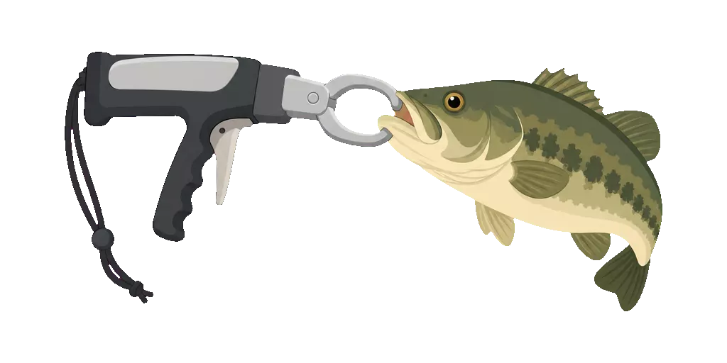 Abbildung zu Fischgreifer