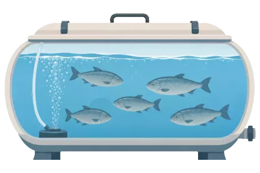 Abbildung zu Fischtransport