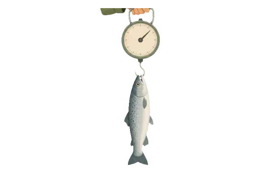 Abbildung zu Fischwaage