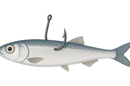 Abbildung zu Köderfisch