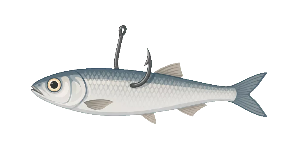 Abbildung zu Köderfisch