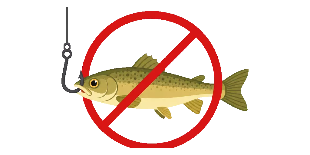 Abbildung zu lebender Köderfisch