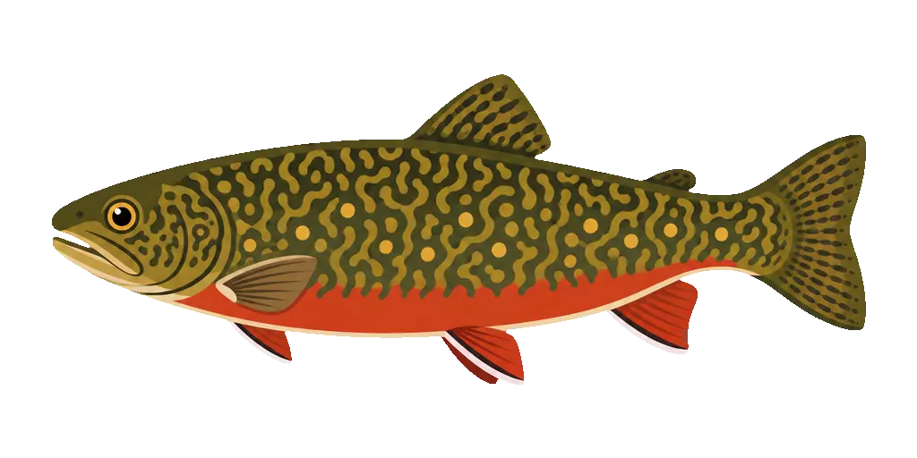 Abbildung zu Tigerfisch