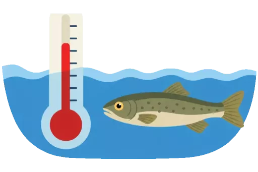 Abbildung zu Wassertemperatur