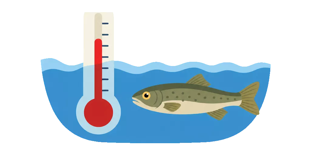 Abbildung zu Wassertemperatur