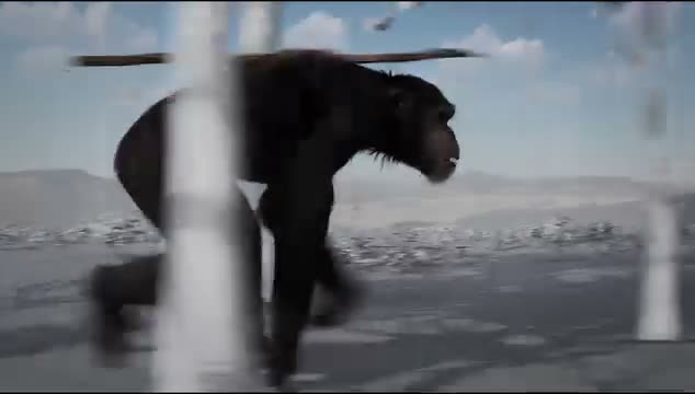 Video by mary.animation