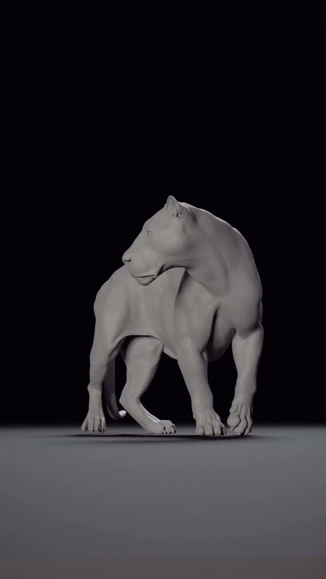 Video by augp_art