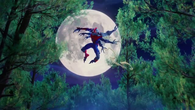Video by sarpserter