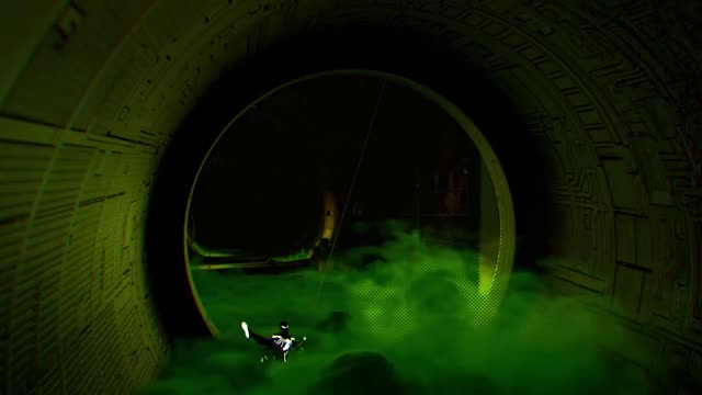 Video by sarpserter
