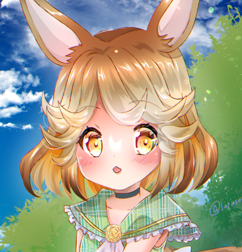 profile picture