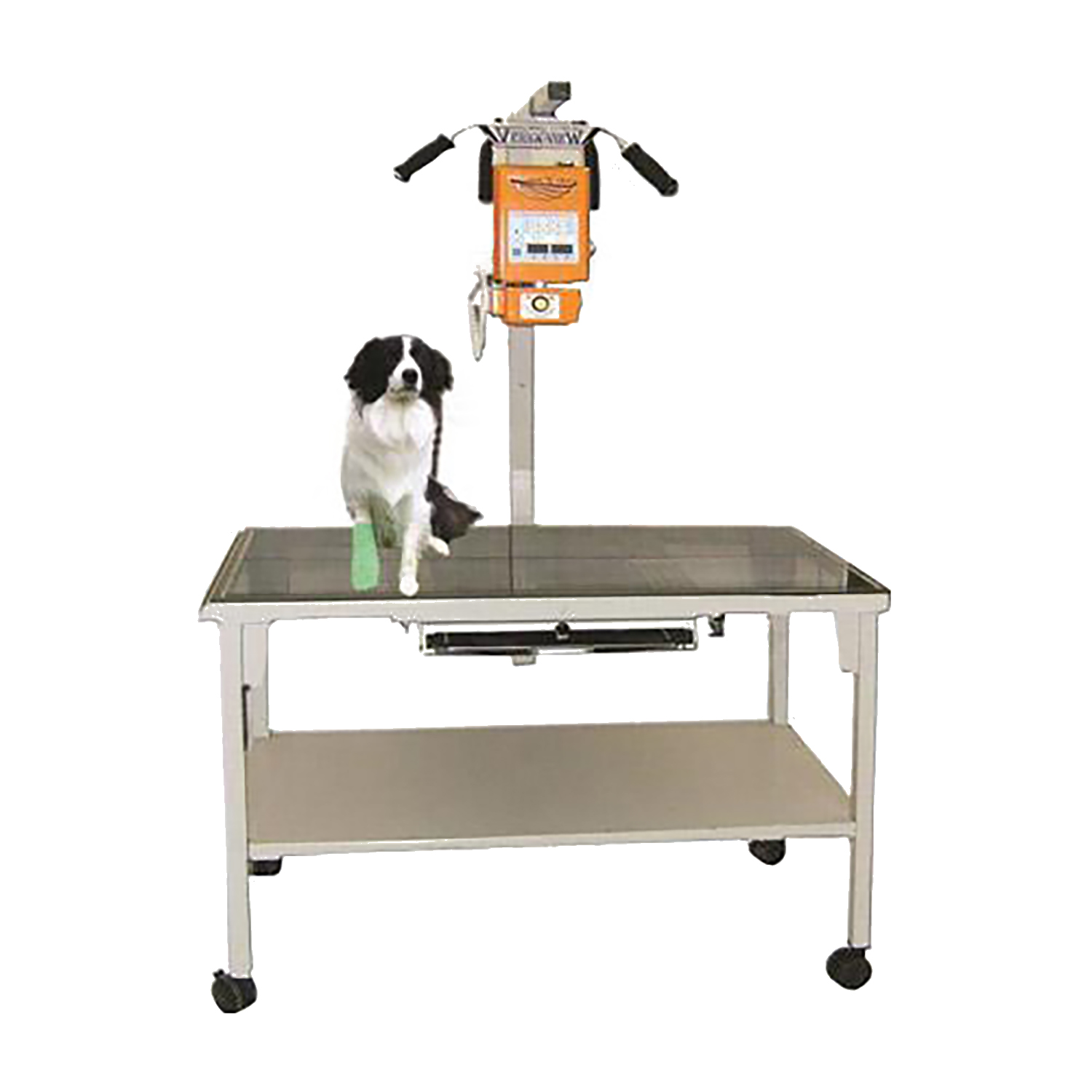 Avante Standard X-Ray Table