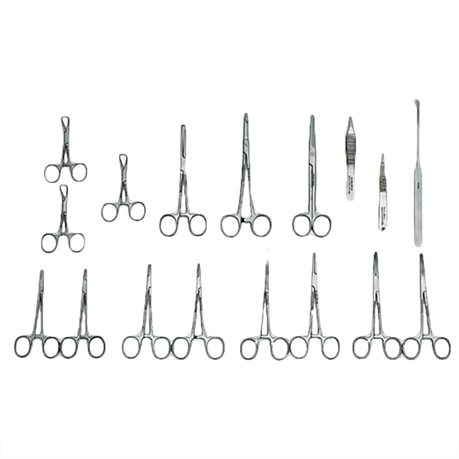 Canine Spay Pack- German Stainless Steel