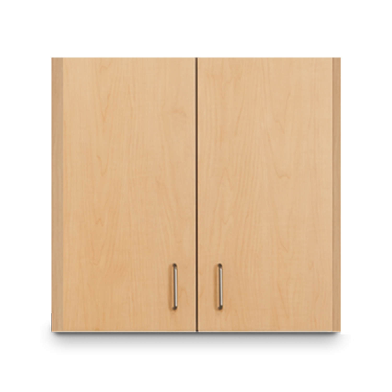 Single Wall Cabinet with 2 Doors