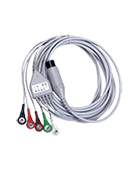 ECG Cables and Leads