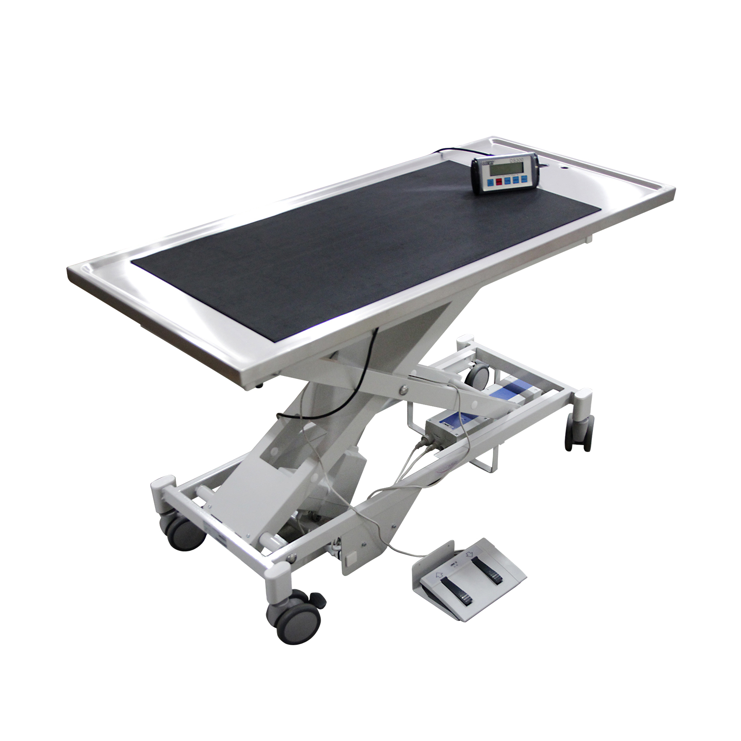 Pannomed EPT Veterinary Mobile Treatment Table with Scale