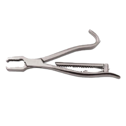 Kern Bone Holding Forceps