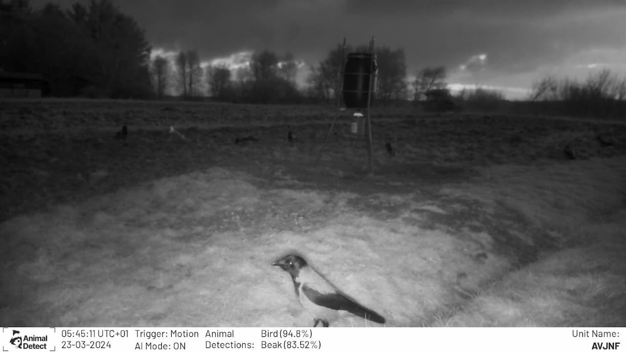 Image where bird and beak is detected - which is indeed true :)