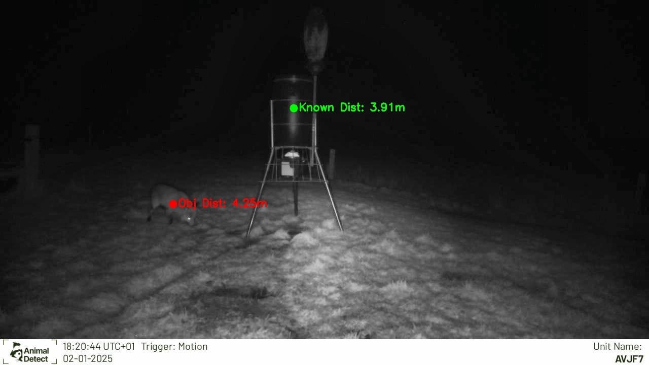 Result image from my pipeline, with distances to a known object and the Fox
