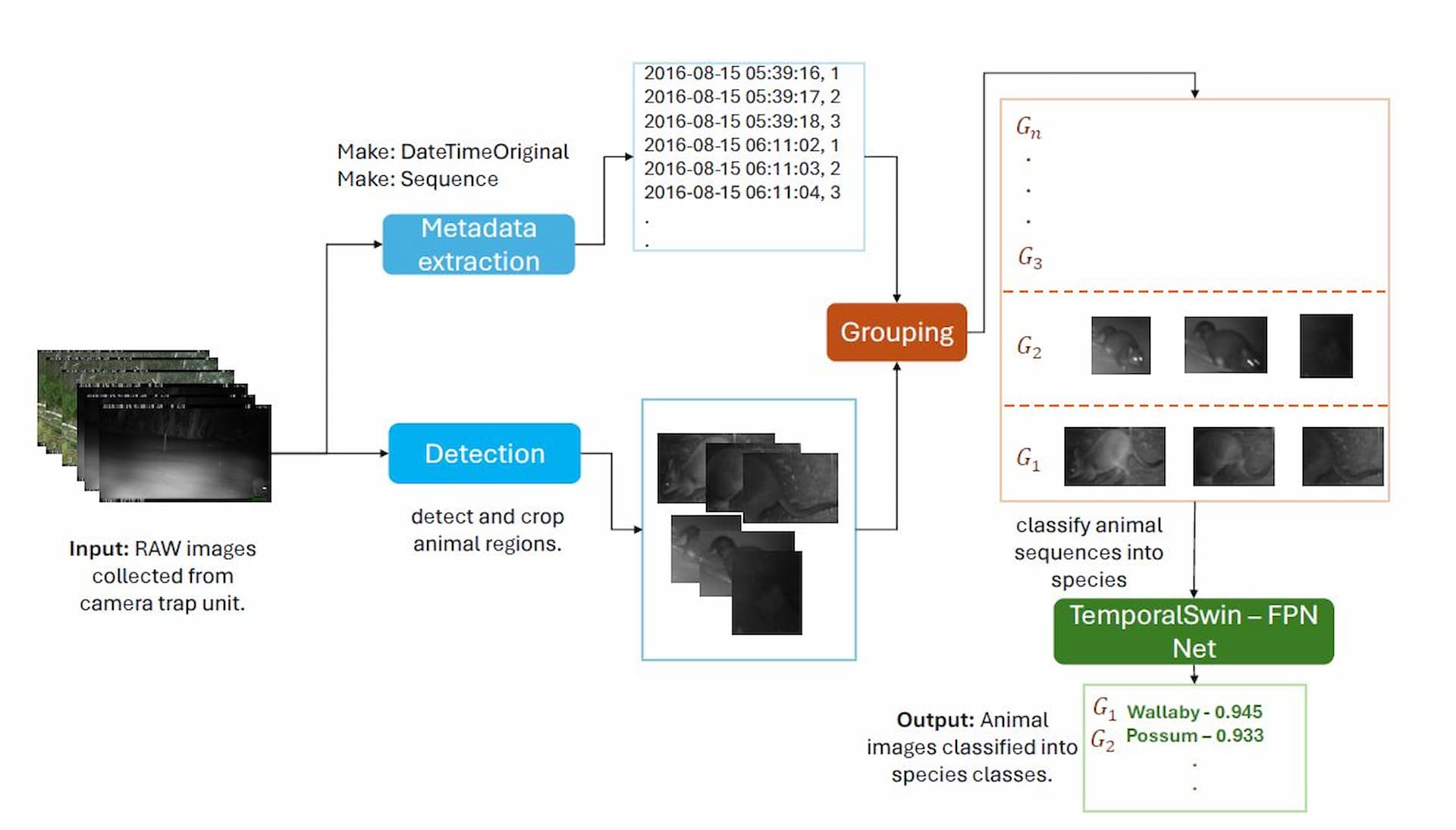 Improving an animal classifier accuracy with a burst of images? 