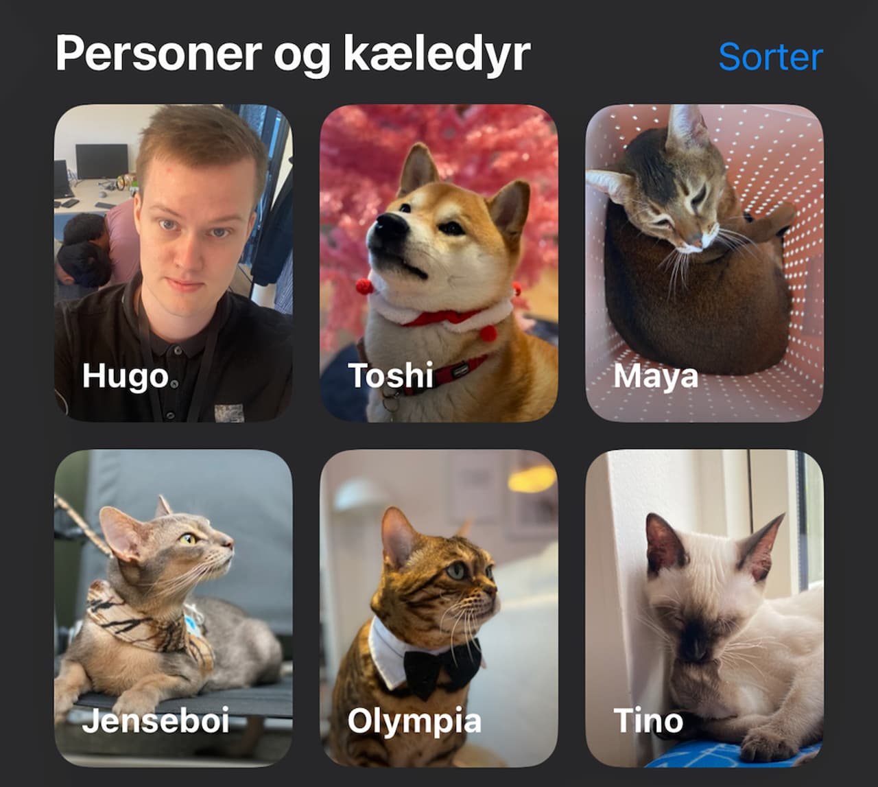 Image from my private "people and pets"