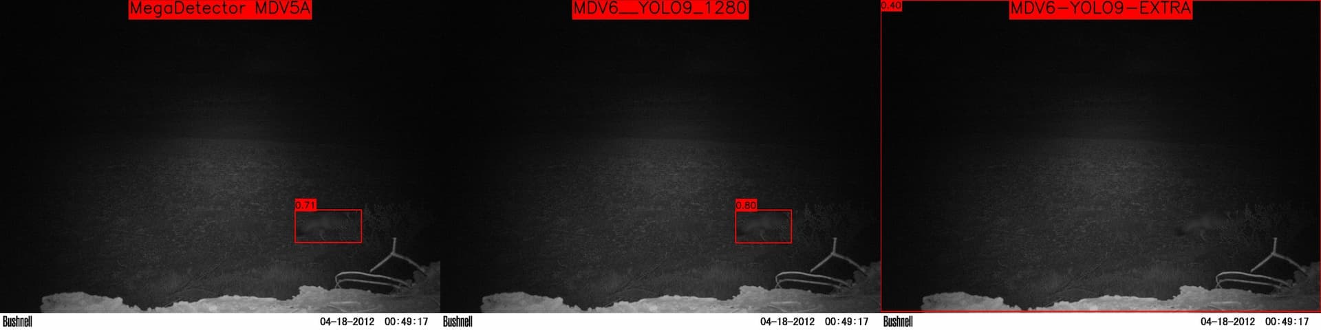 All models occationally takes nearly the whole image as a detection, from my tests it seems like the MDV6 models did this more often.