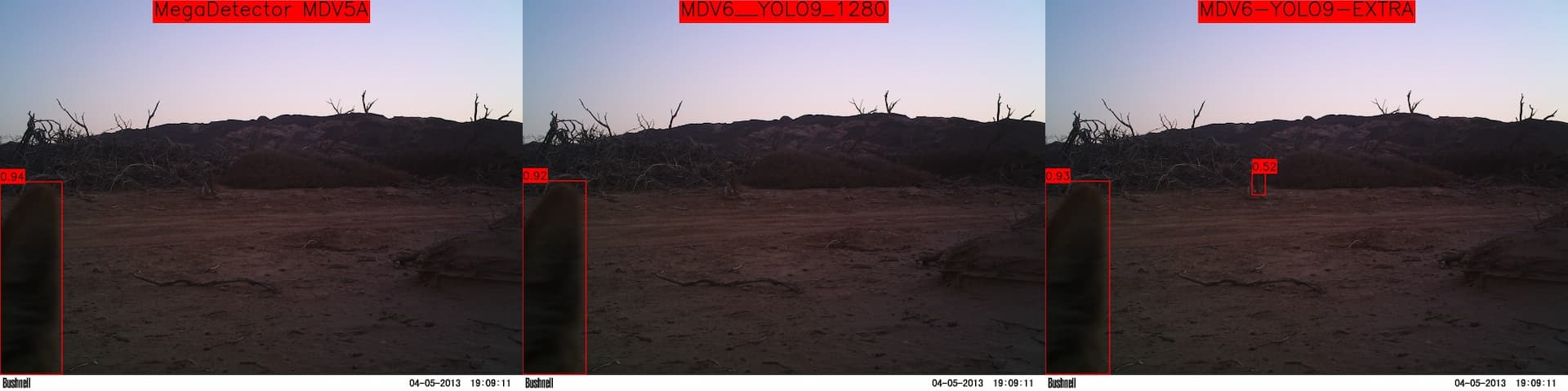 Slightly higer confidence on MDV5 where animal is only partly in the scene. Also false positive on MDV6 model