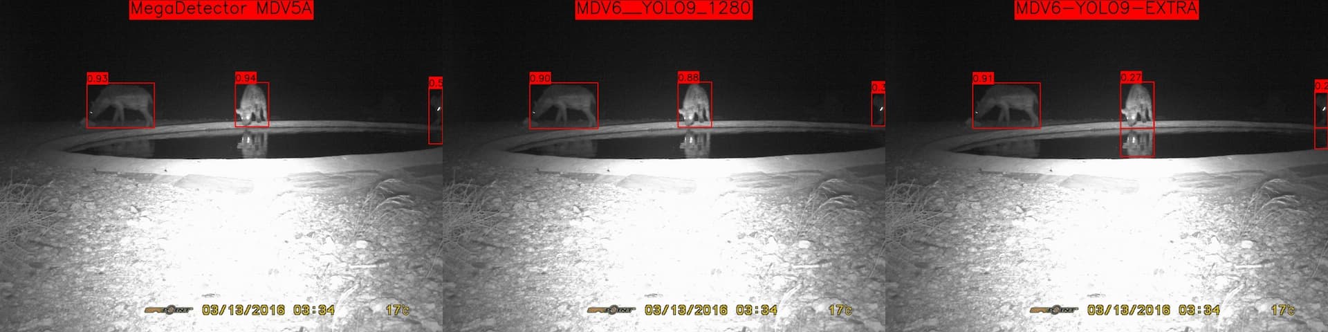 Slightly higer confidence on MDV5 where animal is only partly in the scene