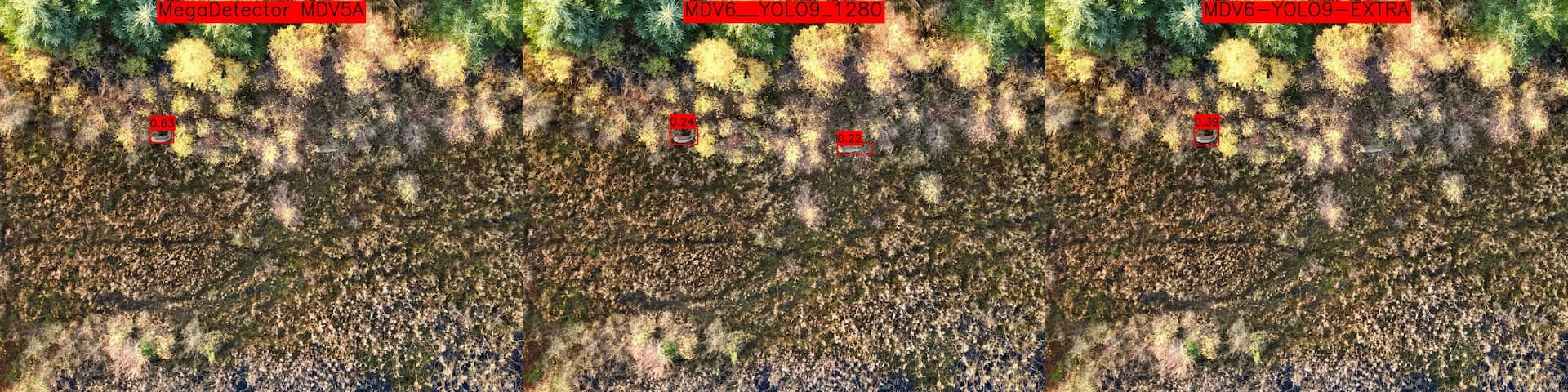 In very few cases, the MDV6_YOLO9_1280 models finds more animals than MDV5