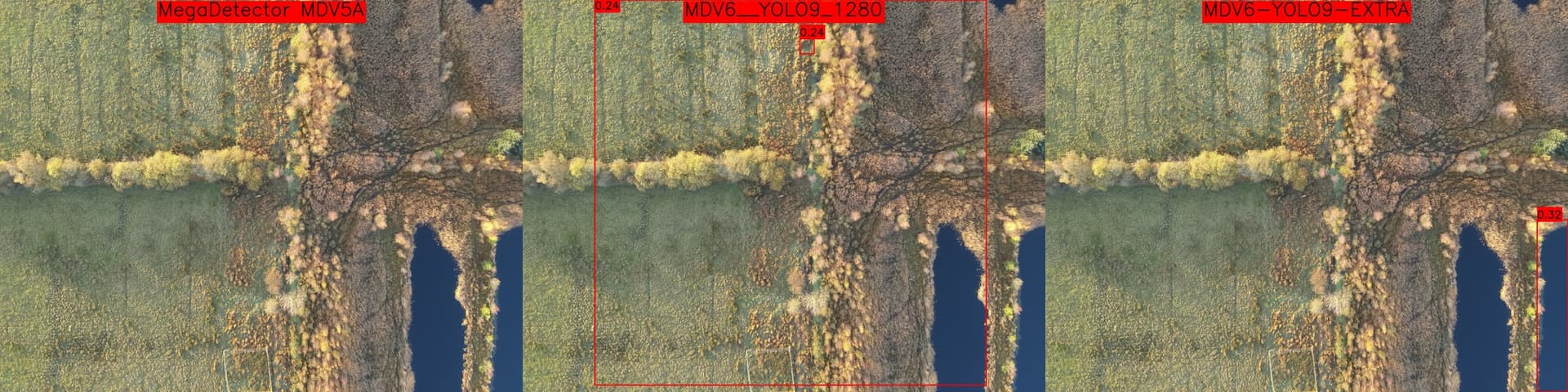 Several false positives on the MDV6 models