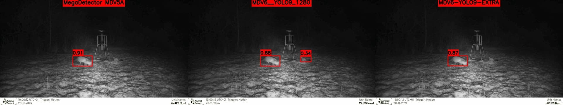 Same example as above however large/medium sized mammals which you can clearly spot often has slightly larger confidence on MDV5