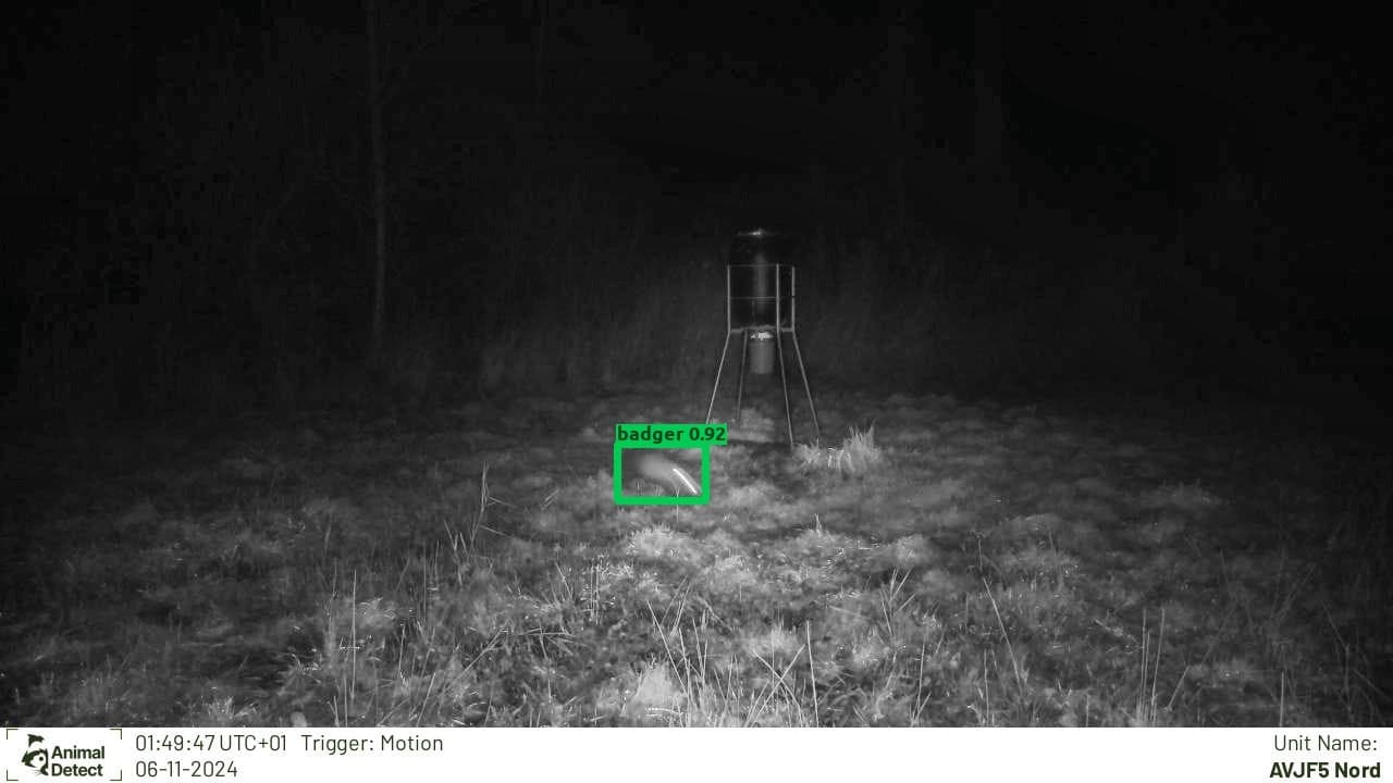 animal_detect_blog_classifiaction_test_example1.jpg