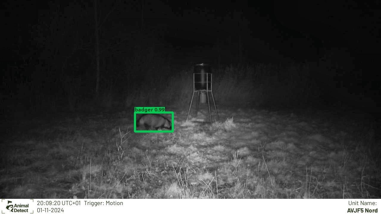 animal_detect_blog_classifiaction_test_example3.jpg