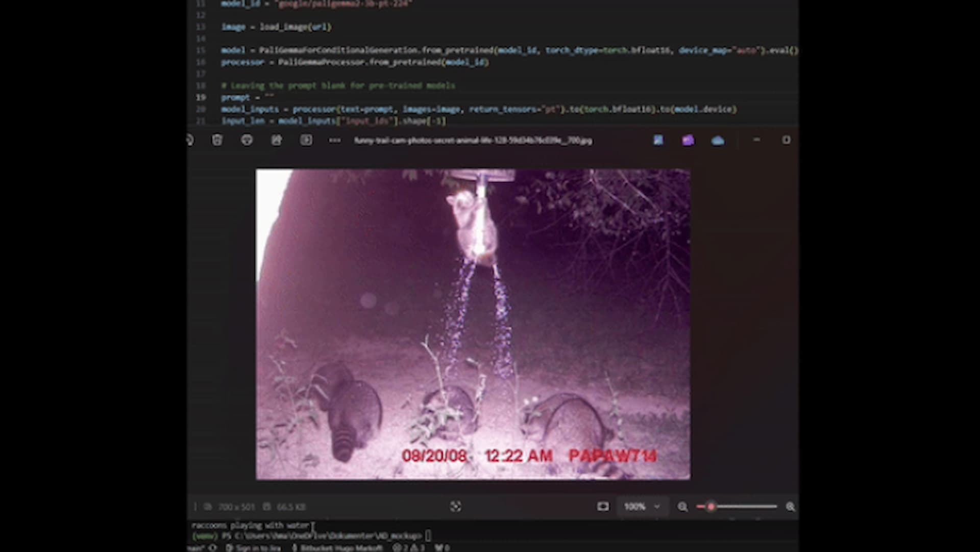 Using Vision-Language Models (VLMs) for wildlife