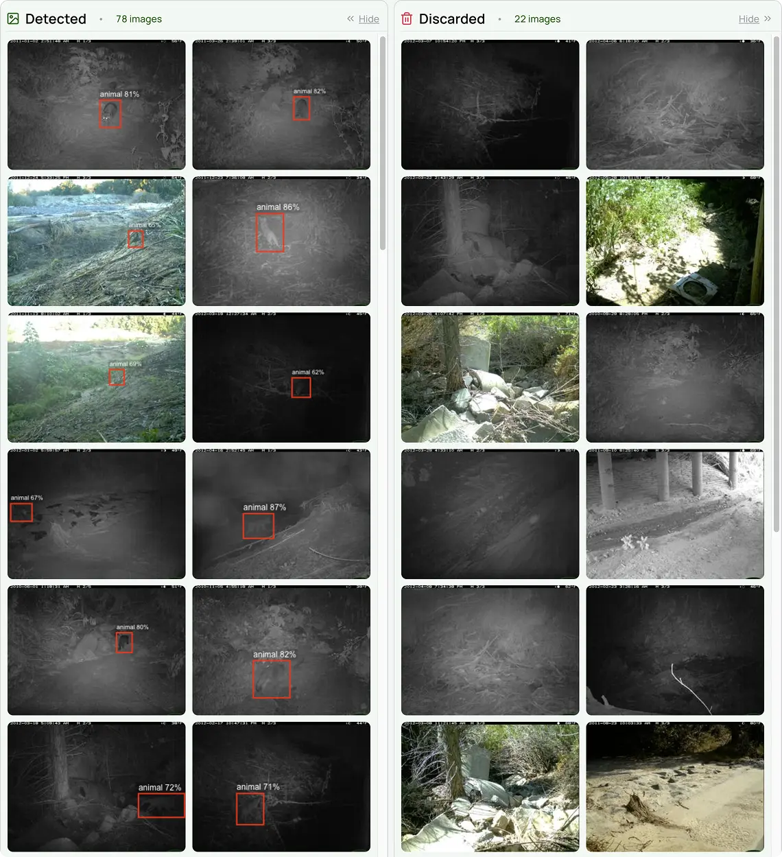 Animal Detect Screenshot