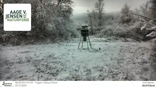 Park monitoring with smart cameras in Denmark