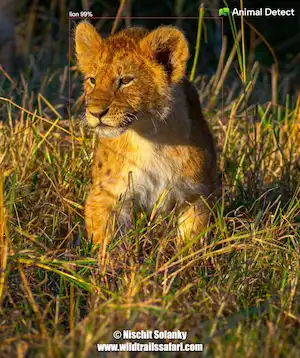 Safari Park phone app powered by Animal Detect