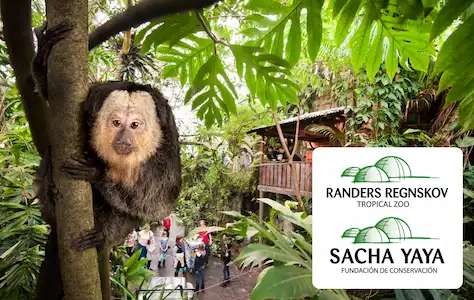 Tropical Zoo animal study by university students