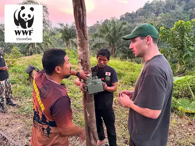 Smart camera traps with WWF Thailand