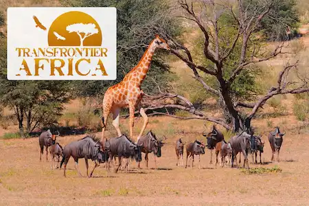 Biodiversity monitoring in South Africa