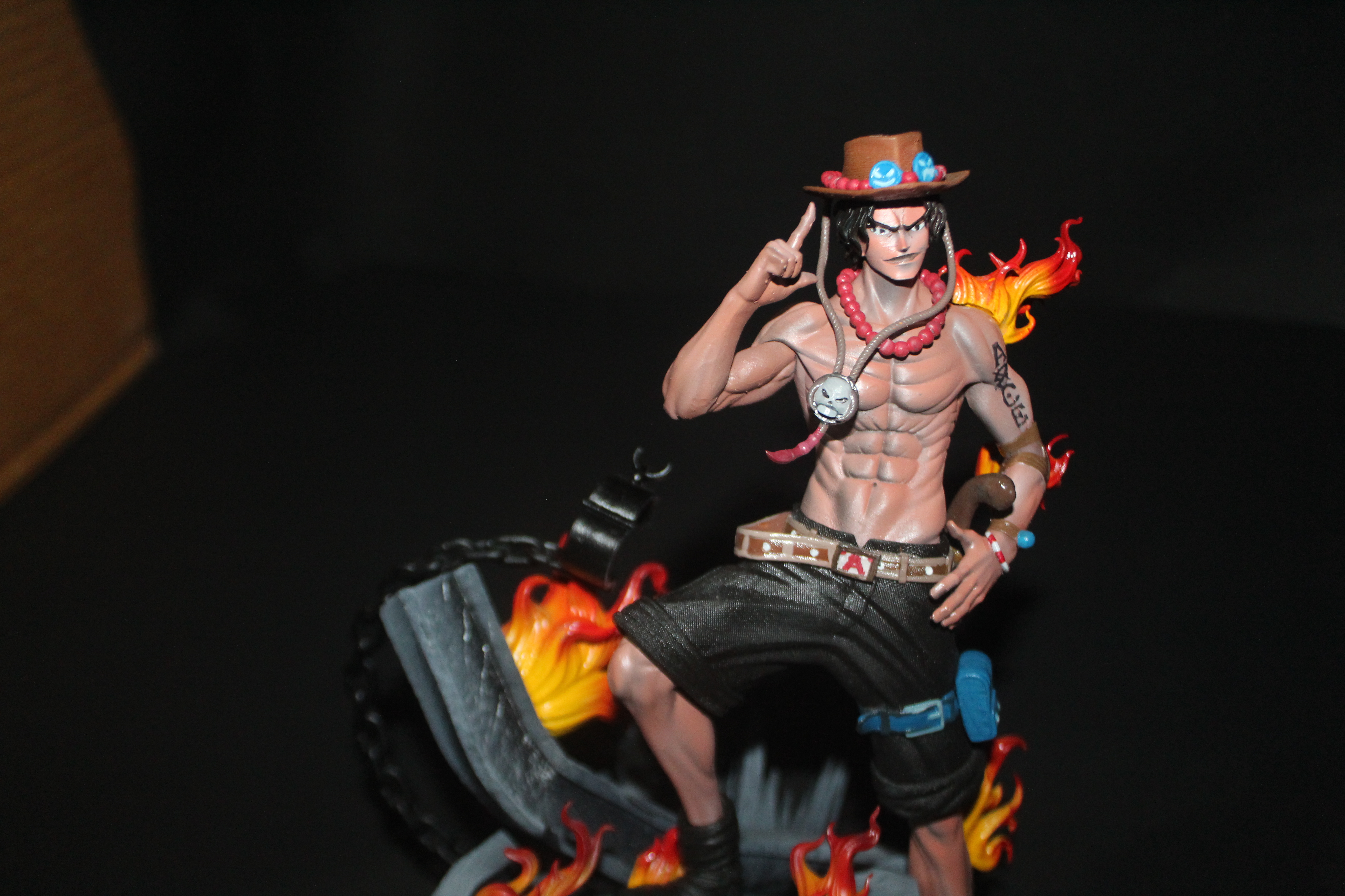 Fire Fist Ace — Memorial Display